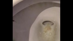 Cum Drips from My Ass as I Enjoy Solo Time in the Toilet