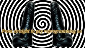 From straight to gay reprogramming 20 22 min