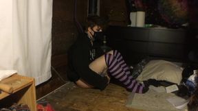 Leashed Femboy In Chastity Plays With Vibrator