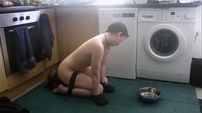 Pet play with my pretty butt plug tail. Don'_t I look cute drinking out of my water bowl on the floor with my hands in leather...