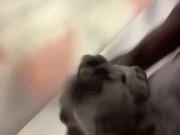Quick nut in shower