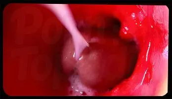 Zara Snake Interracial Passion & Big Tits Action New this week