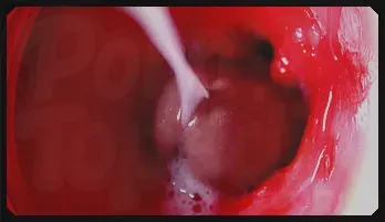 Zara Snake Interracial Passion & Big Tits Action