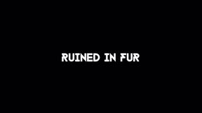Ruined in fur