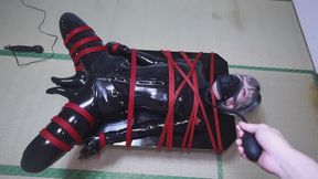 Vibrating rod punishment