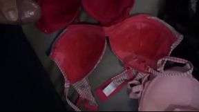 한국야동 변태 시리즈 - 차안 브래지어 위에다가 사정하는놈