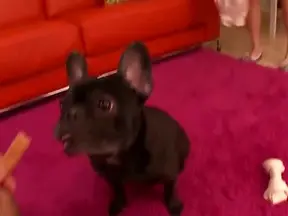 Sizzling Kaede Fuyutsuki Delivers Hardcore Fucking Right Here