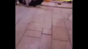 Saint Lazare Two Gays fighting,kissing and fucking whit a big dick,he cum and sucer