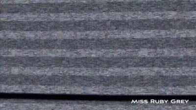 Collared and Controlled