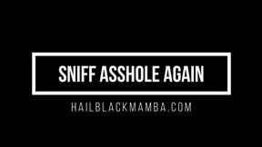 Sniff Asshole AGAIN