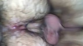 Amateur Bottom Returns for Bareback Breeding