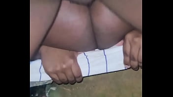 Fui levar os ursos para conhecer o parque