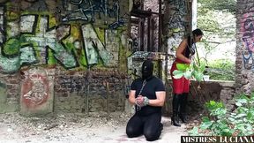 My piss in the slave's eye