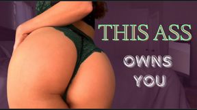 This Ass Owns You