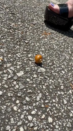 Don’t you wish to be my little bugs