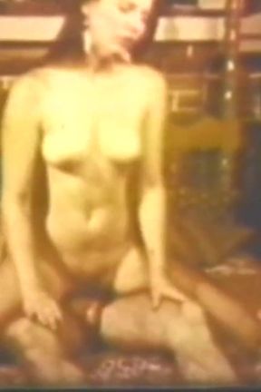 Vulgar Capricious Pig