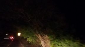 putinha convida desconhecido pra fuder na sua casa