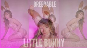 Playful Bunny Adventures: A Kinky Exploration of Fantasy and Fun