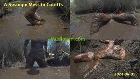 A Swampy Mess in Cutoffs, 2024-06-01