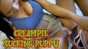 Creampie Sucking Puppy (HD 4K MP4)