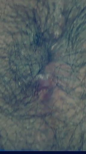 Cum Through Zorba