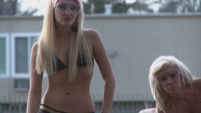 blonde with big boobs shawna lenee vandalizes cars and sucks and fucksblonde with big...
