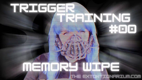 TRIGGER TRAINING #00- MEMORY WIPE