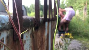 How I Love Summer for the Opportunity to Fuck in the Bushes