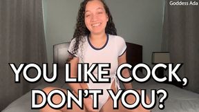 You Like Cock, Don't You?