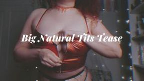 Big Natural Tits Fishnet Tease