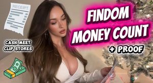Findom Money Count + Receipts | First Half of December