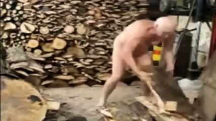 Silver Fox Strokes Wood At The Sawmill