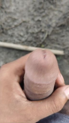 Desi sex videos
