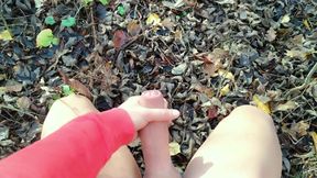 Outdoor Cumshot on Dry Leaves ( Autumn Outdoor )