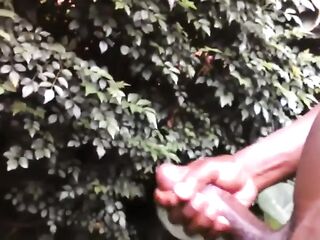 CURVED WANG TEEN MASTURBATING IN PUBLIC