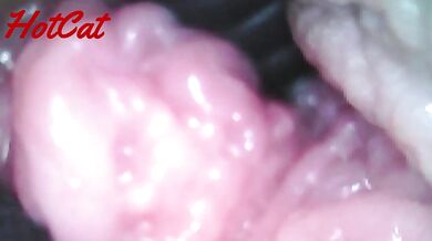 Wet fleshy depthsoped inside squirming pink no mod fistula
