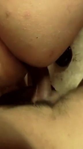 Anal Shemale Madness Vol.1 - Episode 12