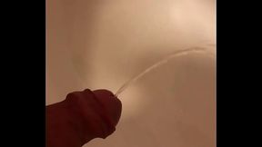 Piss in sink