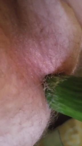Fuck My Ass