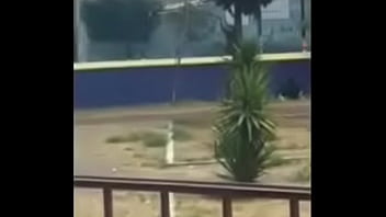 Uno rikolino en el parque :v