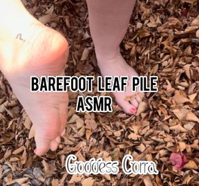 Barefoot Leaf Pile ASMR