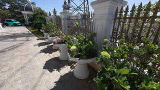 Eine asiatische Schönheit mit einem prallen Hintern und einem perfekten Körper lässt sich in Cowgirl- und Doggy-Position anal besamen.