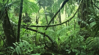 Flight Attendant Blacked on a plane.