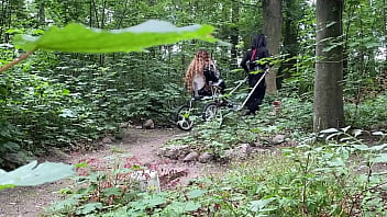 Ponyplay Cart Pulling 3