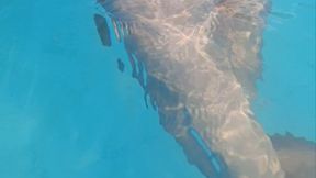 Fun pool
