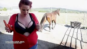Horny wife with massive tits take a huge fantasy cock deep in her ass