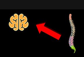 The science behind male multiple orgasms