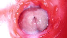 Extreme close up of a big cock in a sloppy wet sweet hole!