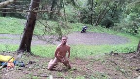 Wild Slovak Nature