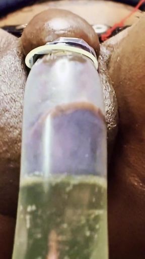 Ms300 Sarazia Exotic - Golden Goddess Nectar